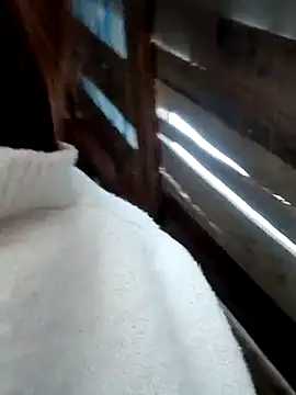 blonde blg online show from 02/01/26, 08:24