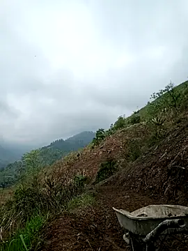 blonde blg online show from 03/24/26, 03:33