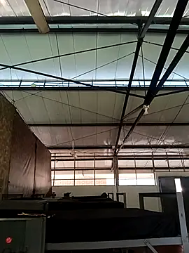 MonasticCanine online show from 11/26/25, 11:33