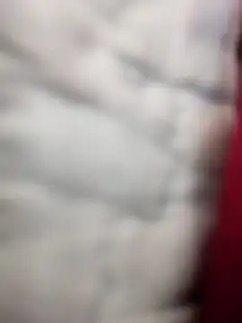 Tayanehot online show from 04/12/26, 10:31