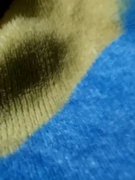 GG23MVP online show from 11/30/25, 05:22