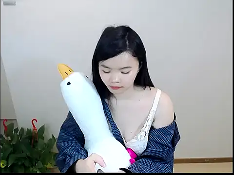 Snapshot of Shaurk chatting on 02/01/26, 03:49 Shaurk online show from 02/01/26, 03:49