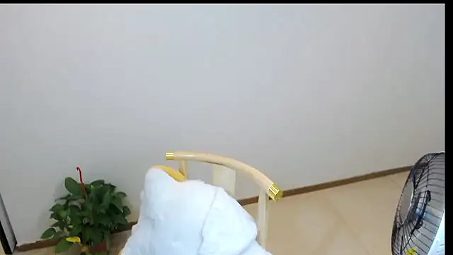 Snapshot of Shaurk chatting on 02/23/26, 02:53 Shaurk online show from 02/23/26, 02:53