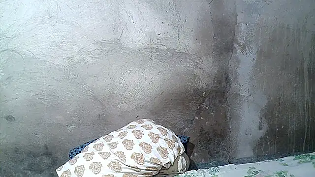 xwindyxxx online show from 02/19/26, 06:42