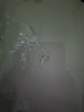 dalou3a22 online show from 12/20/25, 12:18