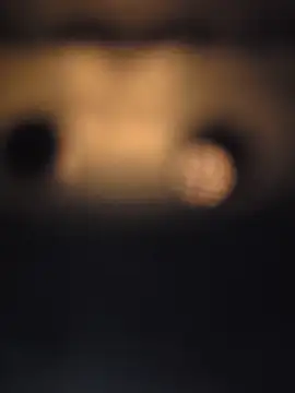 piggylatino online show from 02/18/26, 02:51