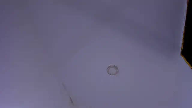 tiven-prince online show from 01/10/26, 07:48