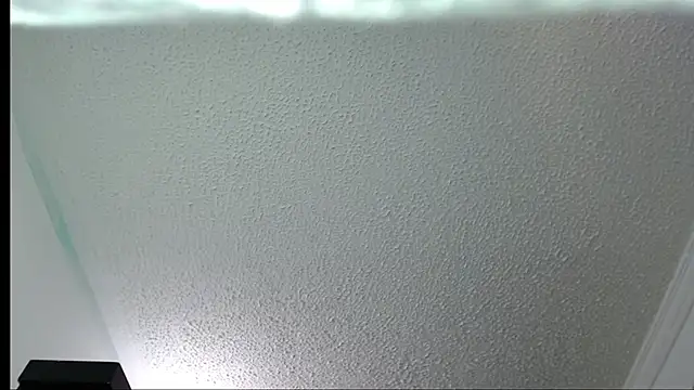 Little-rouse online show from 11/30/25, 02:32