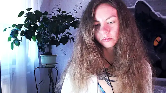 Personal Bulldozer online show from 12/22/25, 08:33