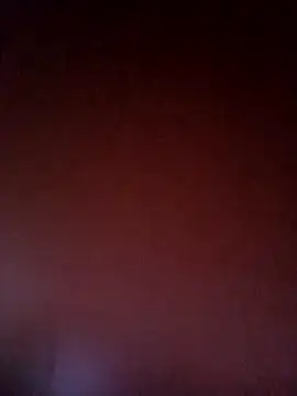 SindyHans online show from 11/23/25, 09:31