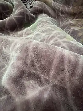 Afganiboy online show from 02/04/26, 01:50