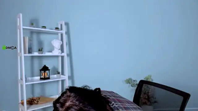 lika pop online show from 01/17/26, 08:01