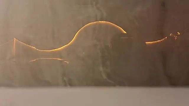 samy tp online show from 12/05/25, 07:21