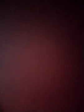 Guarnerstyle online show from 12/22/25, 04:42