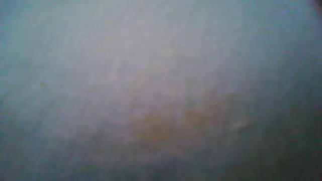 jibe13xh online show from 07/20/26, 06:32