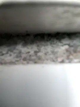 Snapshot of Rique00k chatting on 11/15/25, 04:36 Rique00k online show from 11/15/25, 04:36