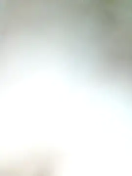 Pxrani online show from 11/17/25, 03:29