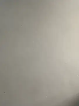 bigass256 online show from 03/29/26, 08:14