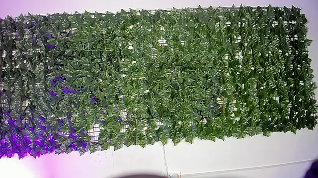 LiilithStonne online show from 03/16/26, 12:53