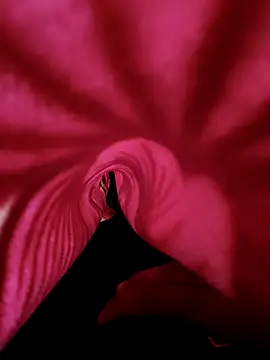 Snapshot of DesiAnita3693 chatting on 11/21/25, 03:38 DesiAnita3693 online show from 11/21/25, 03:38