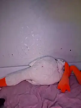 carolinakis  online show from 02/20/26, 07:36