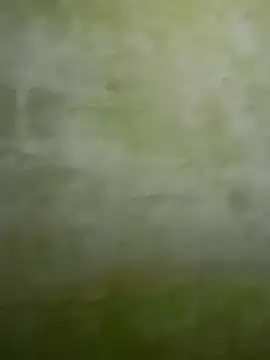 Snapshot of Uplk chatting on 11/17/25, 11:49 Uplk online show from 11/17/25, 11:49