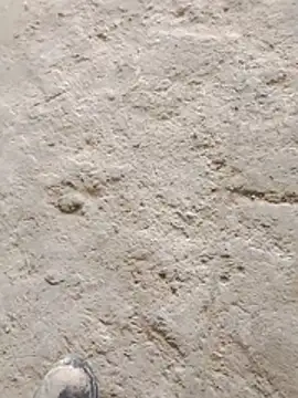 Paugostoso270515 online show from 03/24/26, 04:12