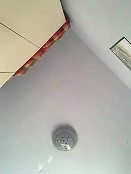 Snapshot of Mistliu chatting on 11/19/25, 05:51 Mistliu online show from 11/19/25, 05:51