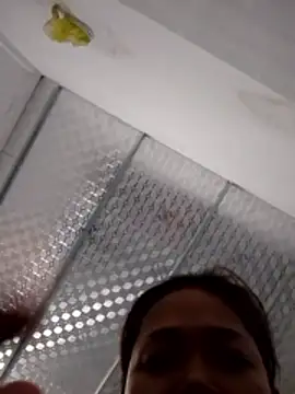 PamPii2x online show from 02/28/26, 02:56