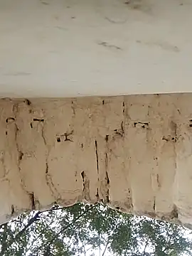 Xxx suhana online show from 11/27/25, 07:54