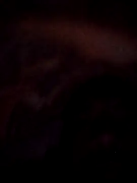 Snapshot of Roy___121 chatting on 11/23/25, 09:03 Roy 121 online show from 11/23/25, 09:03