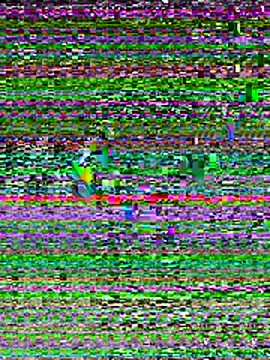 Kiee-lee online show from 11/23/25, 10:04