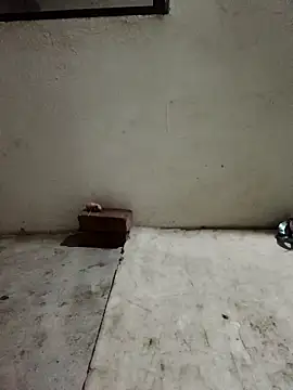 Sunenabhabh online show from 04/05/26, 10:18