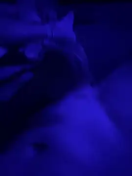 Tommy777B online show from 02/07/26, 10:57