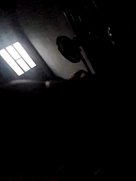 277T online show from 12/23/25, 04:21