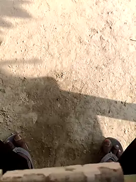 bold 77 online show from 12/02/25, 08:52