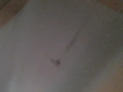 BellahG90 online show from 11/22/25, 01:54