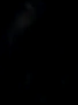 pussyfairy77toxic online show from 11/22/25, 08:19