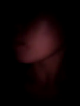 Snapshot of meganmeo chatting on 11/24/25, 01:55 meganmeo online show from 11/24/25, 01:55