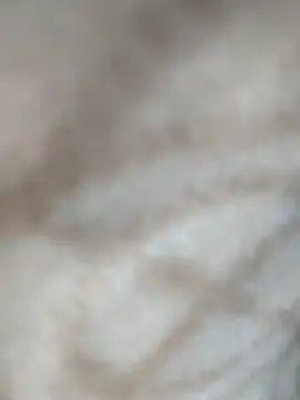 jiniya6789 online show from 01/11/26, 02:00