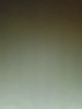 ArgentinaShani online show from 02/11/26, 03:00