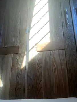 Snapshot of HuggingRegulus chatting on 11/24/25, 07:46 HuggingRegulus online show from 11/24/25, 07:46