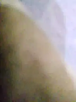 Snapshot of punanibully16 chatting on 01/07/26, 03:53 punanibully16 online show from 01/07/26, 03:53