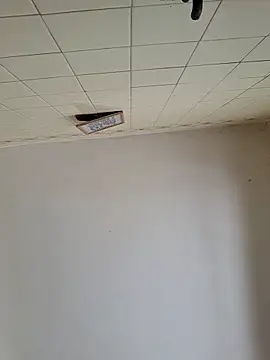 wakahoe online show from 03/22/26, 04:54