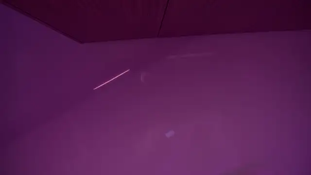 StephanieYves online show from 03/24/26, 11:54