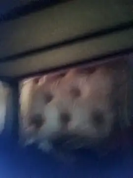 Cuteyuuboy2086 online show from 01/13/26, 01:05