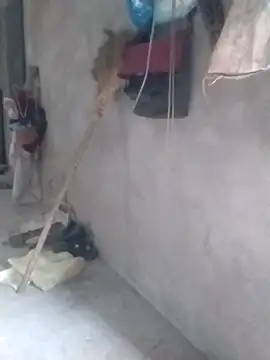 tieutam122 online show from 03/02/26, 10:33