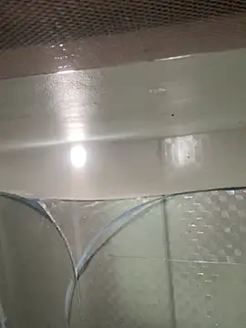 muti99 online show from 02/08/26, 12:52