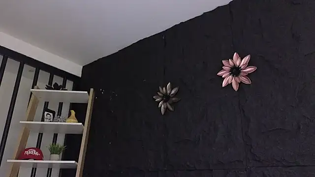 Paulo 527 online show from 01/08/26, 09:06