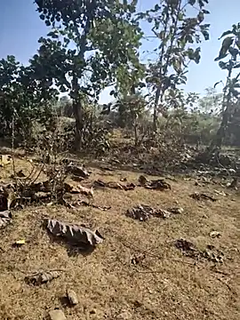 88zaifkhan88 online show from 01/07/26, 04:48